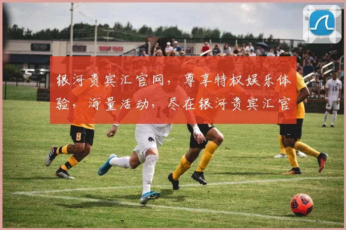 银河贵宾汇官网，尊享特权娱乐体验，海量活动，尽在银河贵宾汇官网，登录即享