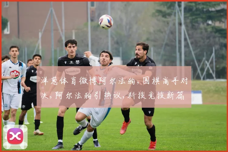 洋葱体育微博阿尔法狗,围棋高手对决,阿尔法狗引热议,科技竞技新篇章