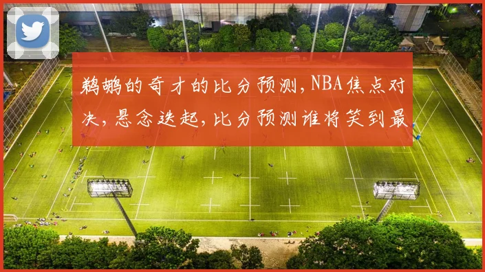 鹈鹕的奇才的比分预测,NBA焦点对决,悬念迭起,比分预测谁将笑到最后