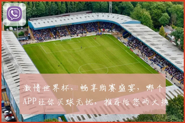 激情世界杯，畅享购赛盛宴，哪个APP让你买球无忧，推荐给您两大热门选择，