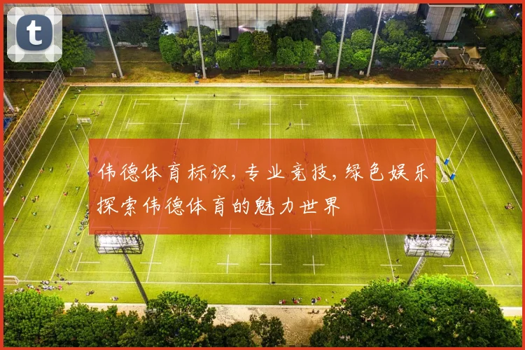 伟德体育标识,专业竞技,绿色娱乐探索伟德体育的魅力世界